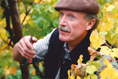 Weinberg-Wanderung