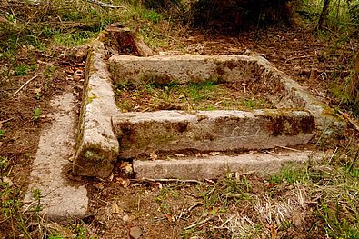 Geführte Wanderung rund um den Bezenberg